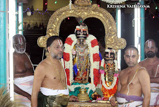 Parthasarathy Perumal, Maasi Sravanam, Thiruvonam Purappadu,  Trplicane,  Purappadu, Thiruvallikeni, Utsavam, 