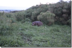IMG_1254_1024x683