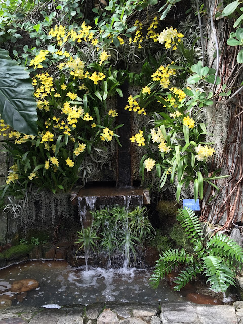 Longwood Gardens waterfall with yellow blooms