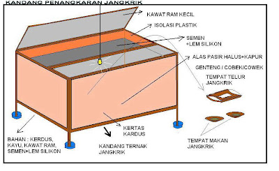 http://beternakcara.blogspot.com/