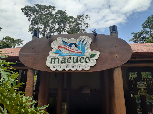 Macuco Safári: beleza e aventura no melhor passeio de Foz do Iguaçu