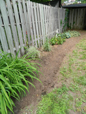 High Park North Backyard Perennial Garden Installation After by Paul Jung Gardening Services--a Toronto Gardening Company