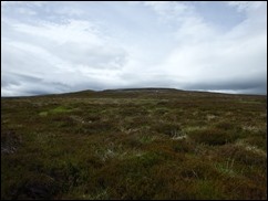 P7100775