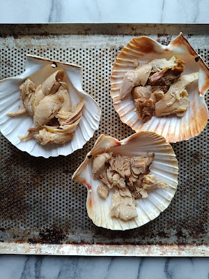 Coquilles volaille crème