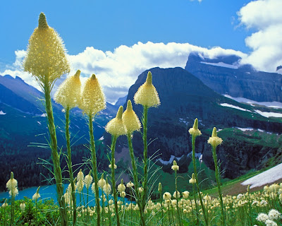 Glacier National Park (U.S.) High Definition Wallpapers!