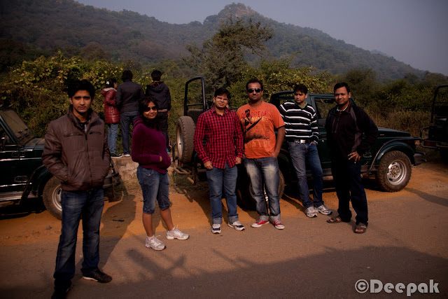 On the first day of the Sariska trip, we enjoyed the palace with a lots of activities. However, a morning safari was already scheduled @700 Hrs next day. We had already listened to the story of Anindya and Chhaya who shared their experience of Jim Corbett where they saw the Tiger. So there were a lot of hopes of spotting a tiger.Some of us were terrified too when we listened to Chhaya about her experience. :)We were all ready at the scheduled time and boarded on the safari. It was very cold outside. So we all loaded ourselves with jackets and pull overs (whatever we could find). Folks who carried camera, were setting up and getting ready. :)We hired three safari jeeps. The right most of 'em was the most experienced one with more than 8 yrs of experience working in Sariska, Ranthambore, Jim Corbett etc.During safari, there were few who were regretting coming out in that much cold weather. They were surely missing their cozy beds back at the palace. However, they made themselves comfortable at the back seat of jeep.I realized that how difficult it is to get a clear shot of animals in wild life. Courtesy to them as they chose to pose for us. We started (and ended too) with the most common and easy to spot animals i.e. deers. A sambar deer looked at us while we were shooting.This is the only clear click I could get of spotted deer. There were many of 'em but not as courteous as other animals to pose for us. :)There were plenty of peacocks too. We stopped many times during the safari to listen to the signals and callings of the animals. Our driver also shared his experience of spotting tigers during the safari. He told us that there are only 4 tigers in the reserve. But after few days 15 more tigers were about to be brought here from Ranthambore.After peacocks and deers what next you would spot in any park is monkeys obviously. :)They were enjoying on the trees. Probably there were used to of seeing strangers. Here is a monkey caught in action. :)Sun was rising and we were enjoying the chilled air in the morning. It was a real nice experience of safari in such a fresh and cold weather.Here is a majestic appearance of Nilgai. While I was shooting, driver told us about the degree of strength it poses. We forced the driver to drive faster when we came to the knowledge. :)While searching for any sign of tiger, we found foot marks of Hyena. Our driver shared the facts about how Hyena are very powerful and they come out in night.This is a very famous bird. Let me see how many of you can guess the name of this bird. (... Yeah! you are right...I dont remember the name of this bird... ;))....but I think it is Robin bird.There were a lot of Tree Pie birds flying around.A more closer look at sambar deer. It was looking right at me while I clicked.The deers were easy to spot in the forest. They could be found crossing the roads or passing by the road side.We all were enjoying the safari ride. Puneet and I was standing on the jeep and were feeling the cold air and enjoying the jerky rides.Finally we reached at the end of the route-2 of the park with no sign of tiger. :)We took some time to stretch and roamed here and there at that point.Prashant in a joyous mood as he is getting clicked. We both were chasing a parrot but couldn't get a clear shot.We couldn't see the tiger but we were not fully disappointed. Probably it was the freshness of the air and the weather that we rarely get at our workplaces.Ananya was happy as she found a bird feather while she was in search for another. :) While our way back to palace, we also spotted Grey Partridge (titar) which reminded me of many titar-bater sayings in hindi. :)We spotted many birds which we couldn't recognize. However, our driver who was a experienced one kept introducing us.Finally, we were back at the palace. We all were hungry and tired due to more than 2.5 Hrs of safari ride.We reached the palace at around 10.30 AM. We had our breakfast and left the palace for going back home. It was really a nice safari experience in Sariska with the team.