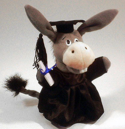 Graduation-Donkeymain.jpg