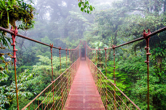 Rừng nhiệt đới Monteverde 