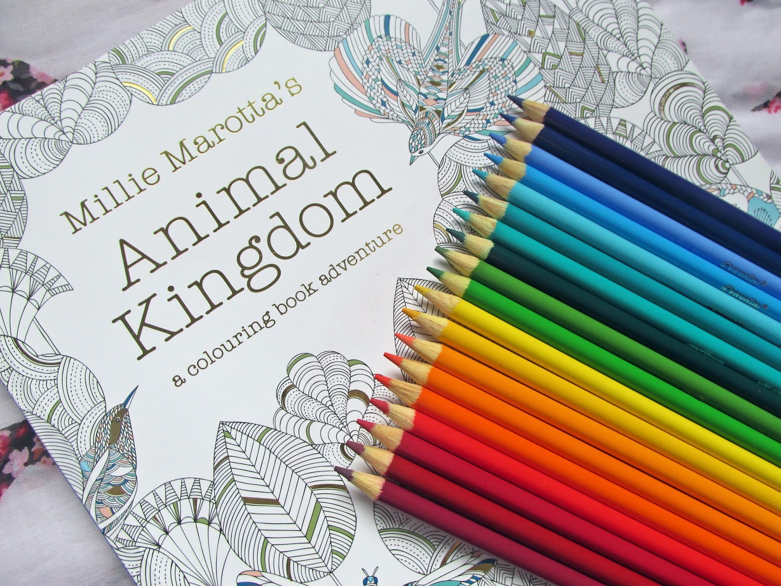 Download Millie Marotta's Animal Kingdom Adult Colouring Book ...