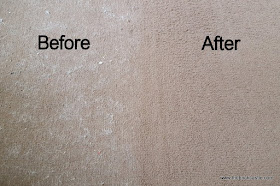 Gtech K9 AirRam before and after carpet hair