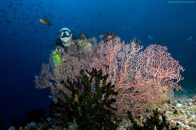 Sea world maldives