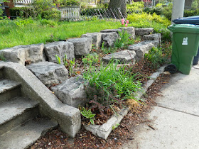 Toronto Riverdale Spring Cleanup Front Garden Before by Paul Jung Gardening Services--a Toronto Gardening Company