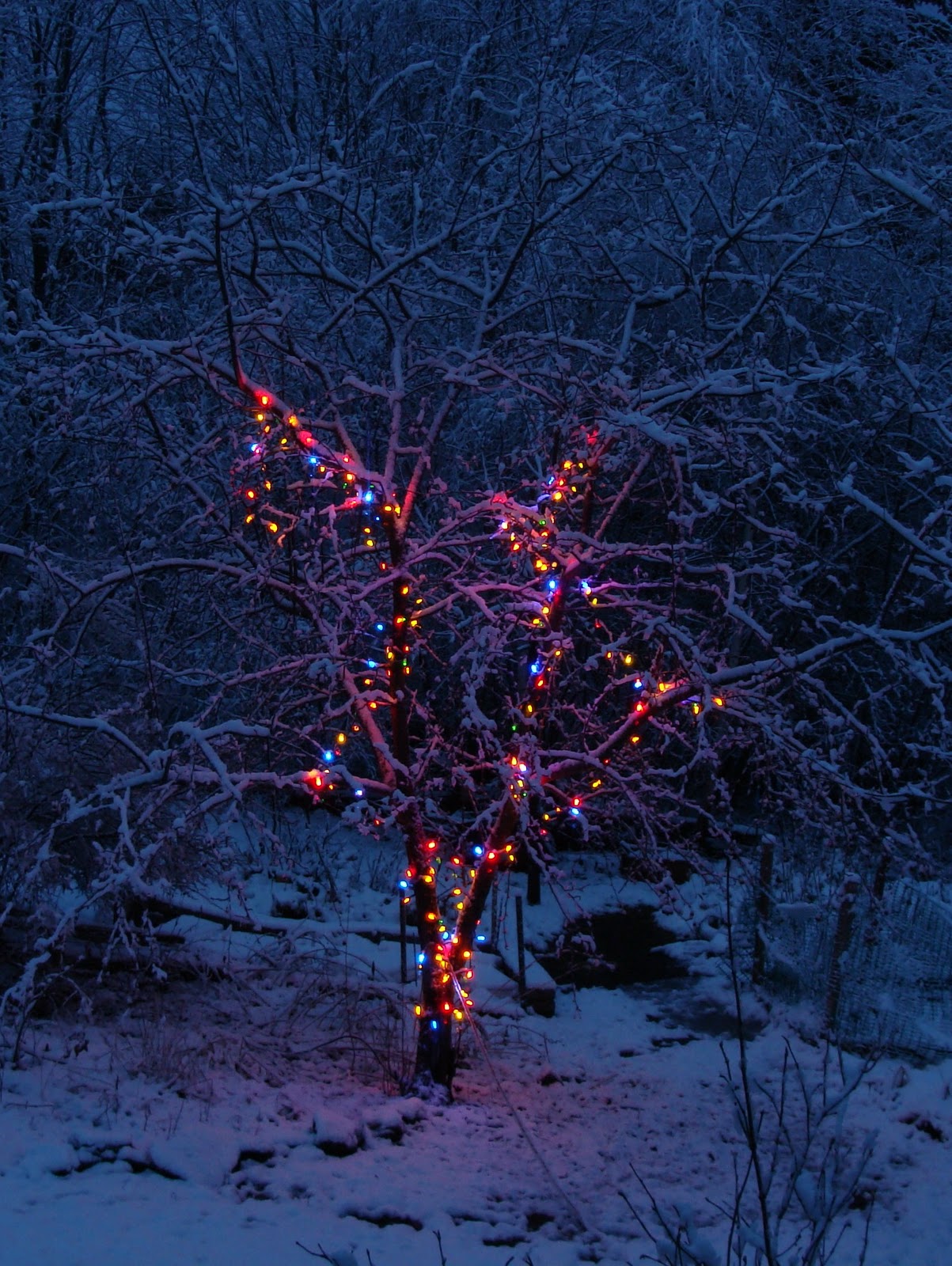 christmas snow lights