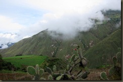 IMG_1859