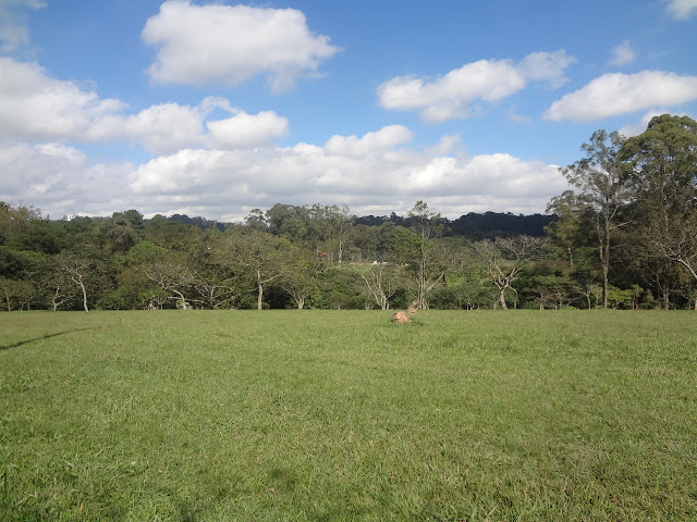 Parque do Carmo em São Paulo