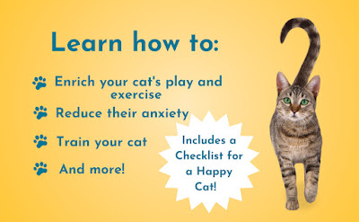 Learn how to enrich your cat's play and exercise, reduce their anxiety, train your cat, and more, with Purr: The Science of Making Your Cat Happy