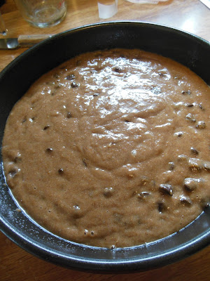 Applesauce Spice Chocolate Chip Cake