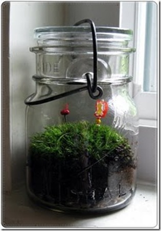 9 terrarium