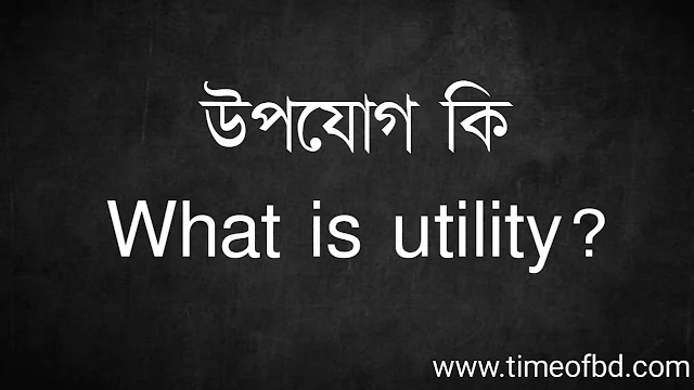 উপযোগ কি | What is utility?