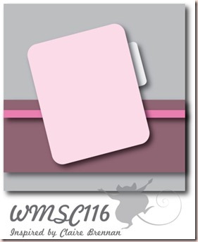 WMSC116