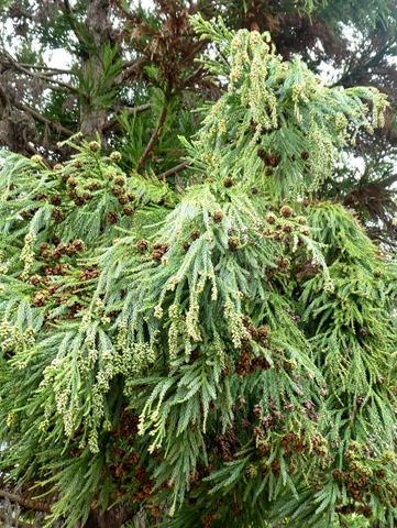 P1080913