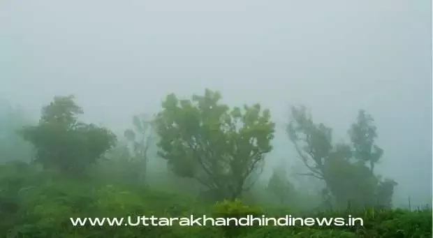 Haldwani News: दिनभर धूप के बाद शाम को झमाझम बरसे बादल