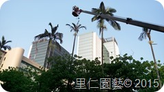 IMAG4901