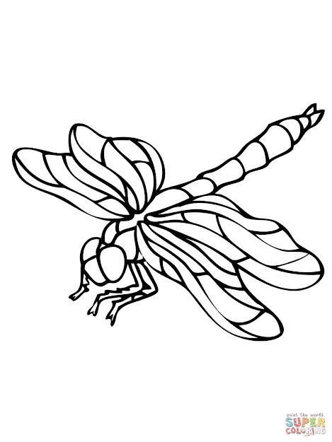 Download Coloring Pages Dragonfly Coloring Page Dragonfly Coloring Page  Free Printable Coloring Pages Sheets