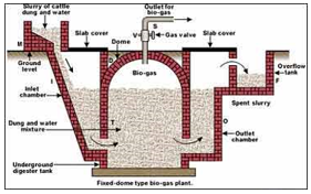 Digester, Biogas, Biomassa, Komponen Utama