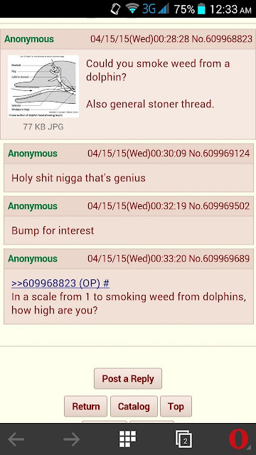 Hilarious text green from 4 chan about using a dolphin as a bong