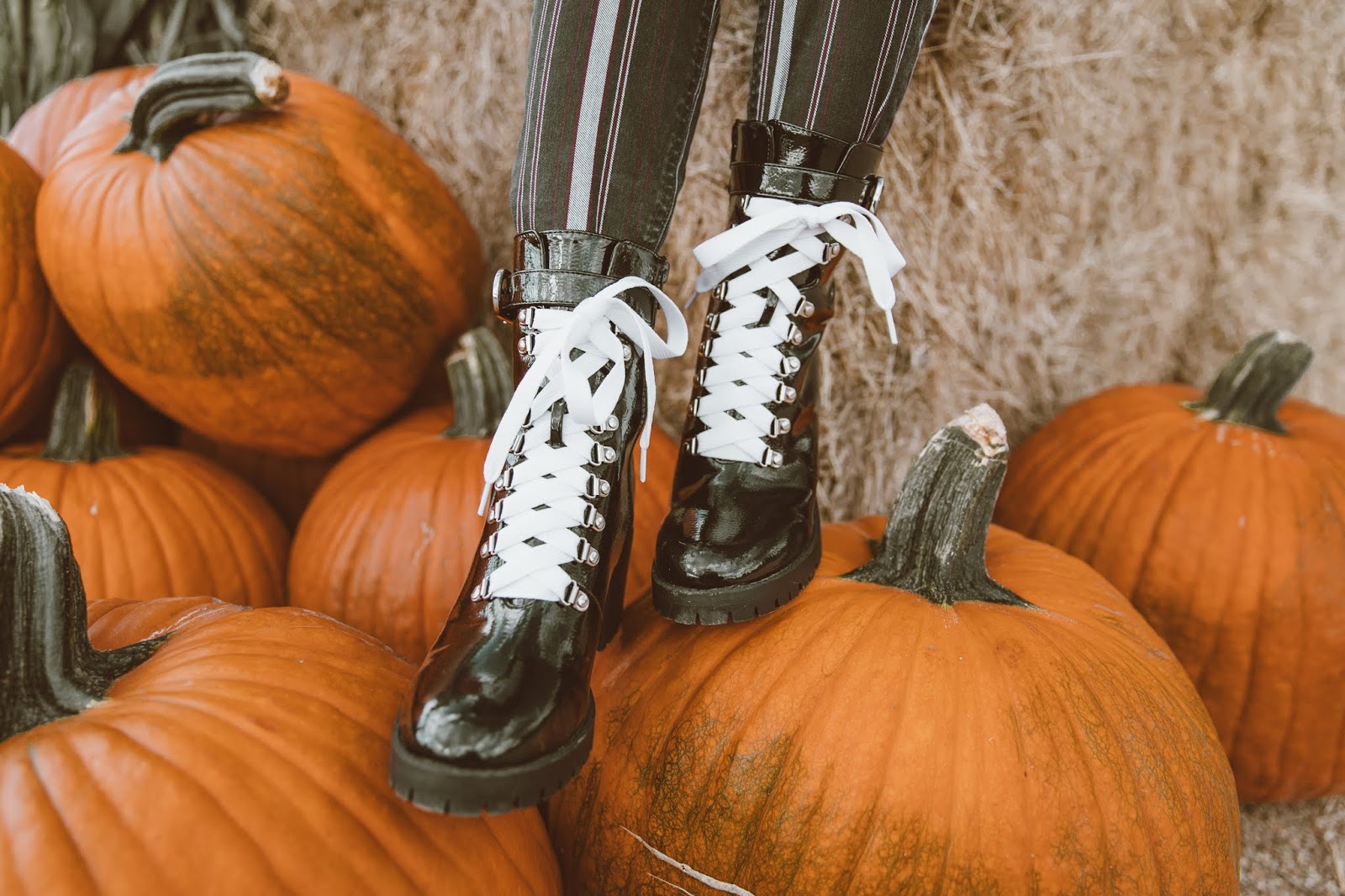 Shelly Stuckman, Mortimer Farms, Pumpkin Patch, Halloween, pumpkin fest, arizona girl, Charlotte russe, stripe pants, white laces, scary movies, halloween movies,