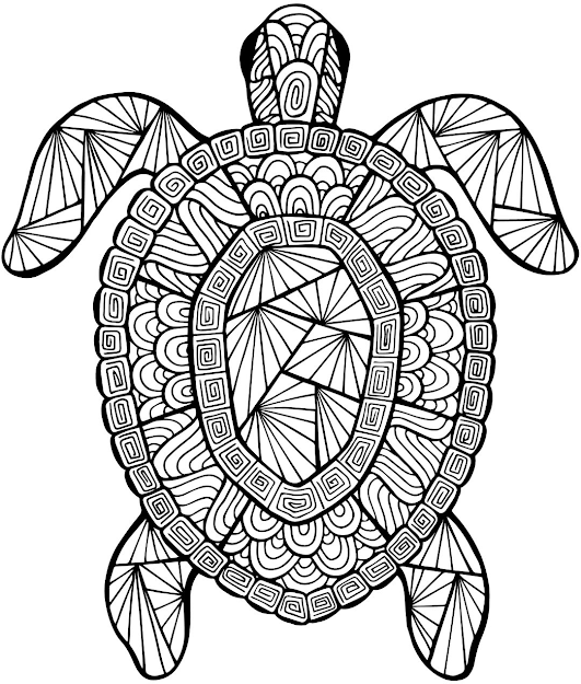 Detailed Sea Turtle Advanced Coloring Page  To Teacher Stuff Printable  Pages And Worksheets