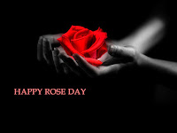 rose day wallpaper, it is a precious gift from a poor guy please accept it and feel it