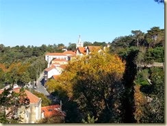 20131129_063333 (Small)