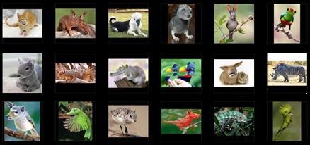 animales_irreales