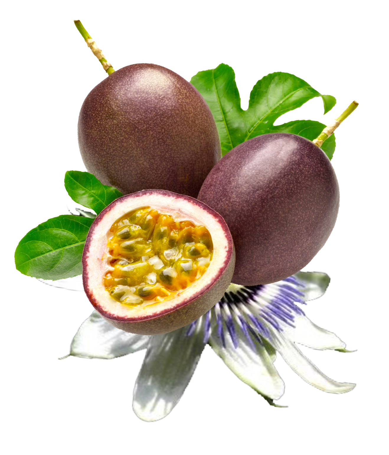 Pangiru Na Toraya Markisa  Passion Fruit Sejarah serta 