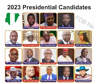 2023 elections