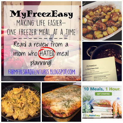 MyFreezEasy~ Easy Freezer Meals for the Busy Mom {Review}