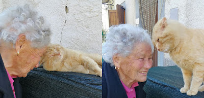 Tras cuatro años esta anciana se reencuentra con su gato desaparecido en el terremoto