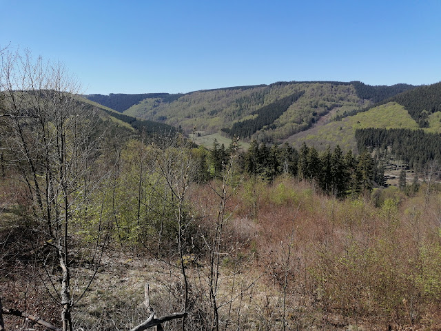 Sauerland wandern Wetter blog Schmallenberg Winterberg Hunau Höhenflug X14 Astenweg X25 Hunauweg