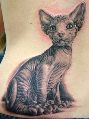 Sphynx Cat Tattoo