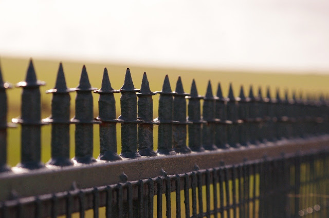 Industrial Safety Fence