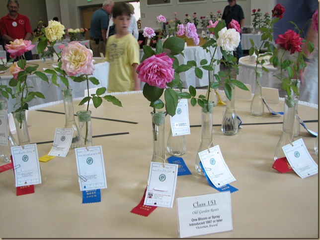 IMG_6648 IMG_6648