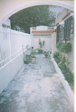 Driveway 2008