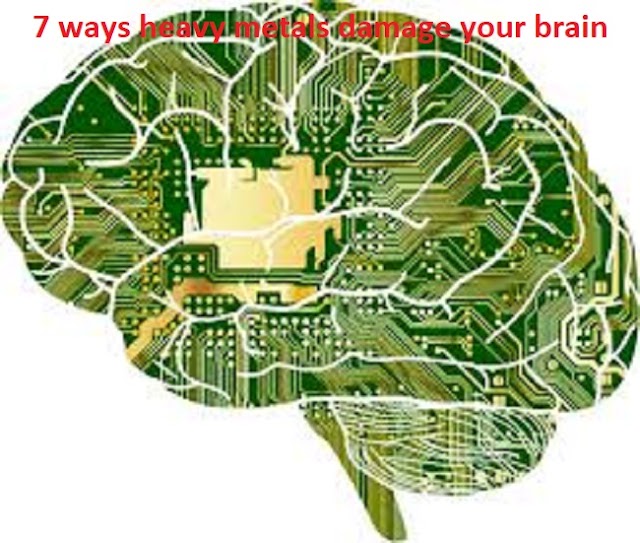  7 ways heavy metals damage your brain