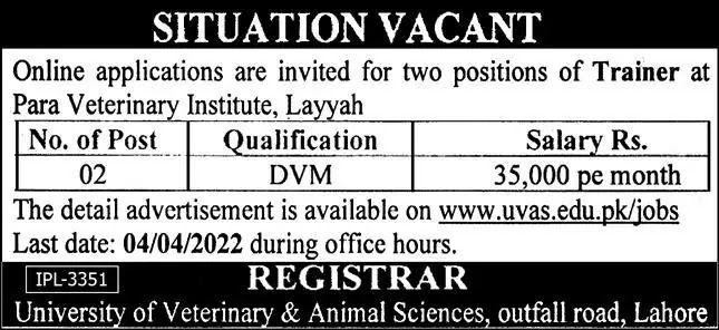 College of Veterinary and Animal Sciences UVAS Jobs