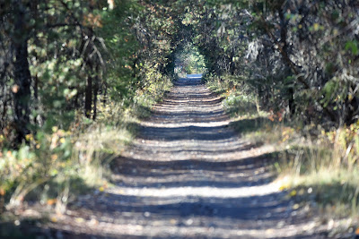 Trans Canada Trail Midway British Columbia.