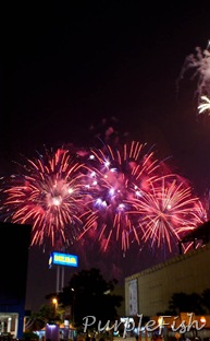 SONY DSC