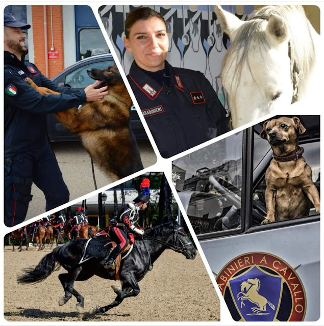 Giornata mondiale degli animali