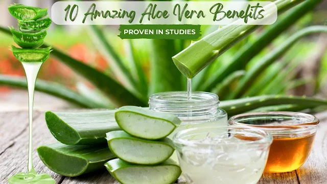 10 Amazing Aloe Vera Benefits Proven In Studies